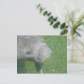 Glimlachende Manatee Animal Water Foto Briefkaart (Staand voorkant)