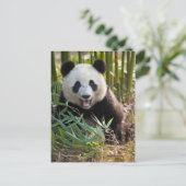 Glimlachende panda portret briefkaart (Staand voorkant)