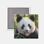 Glimlachende pandaportret magneet (Voorkant / Achterkant)