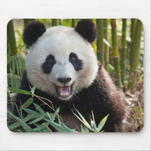 Glimlachende pandaportret muismat