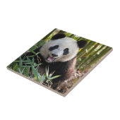 Glimlachende pandaportret tegeltje (Zijkant)