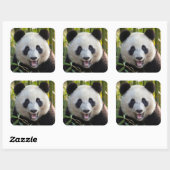 Glimlachende pandaportret vierkante sticker (Vel)