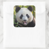 Glimlachende pandaportret vierkante sticker (Tas)