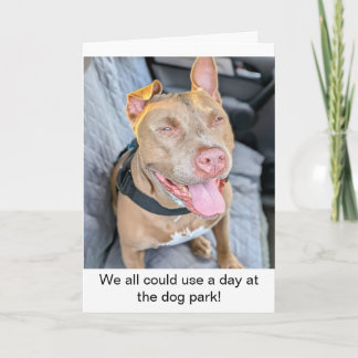 Glimlachende Pit Bull Neem het er maar van Kaart