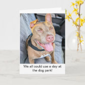 Glimlachende Pit Bull Neem het er maar van Kaart (Gele Bloem)