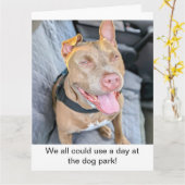 Glimlachende Pit Bull, neem het ervan Kaart (Gele Bloem)