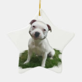 glimlachende Pittie Keramisch Ornament (Voorkant)