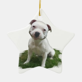 glimlachende Pittie Keramisch Ornament