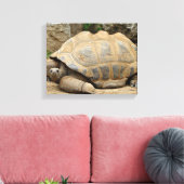 Glimlachende Schildpad 35x28cm Canvas Afdruk (Insitu (Woonkamer))