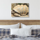 Glimlachende Schildpad 35x28cm Canvas Afdruk (Insitu (Slaapkamer))