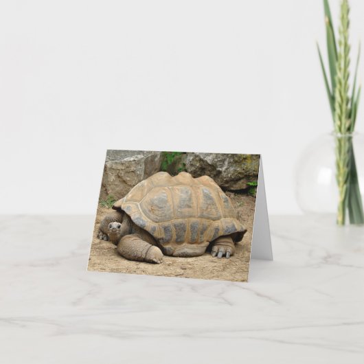 Glimlachende Schildpad Bedankkaart (Voorkant)
