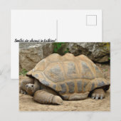 Glimlachende Schildpad Bedankkaart Briefkaart (Voorkant / Achterkant)