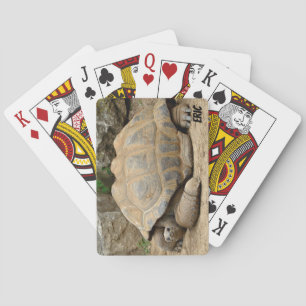 Glimlachende schildpad pokerkaarten