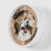 Glimlachende Shih Tzu lach het is besmettelijk aan (Hoek)