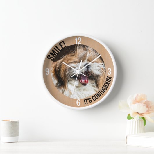 Glimlachende Shih Tzu lach het is besmettelijk aan (Huis)