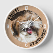 Glimlachende Shih Tzu lach het is besmettelijk aan (Voorkant)