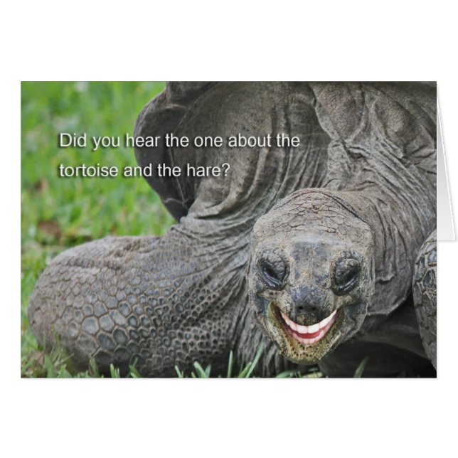 glimlachende tortoise Joke (Voorkant Horizontaal)