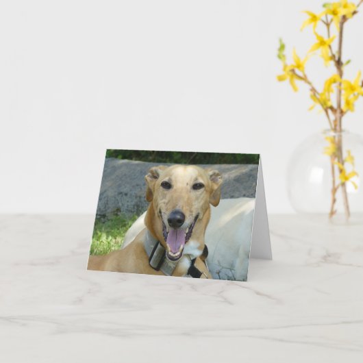 Glimlachende windhond kaart (Gele Bloem)