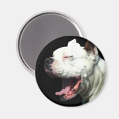 Glimlachende Witte Boxer hondenmagneet Magneet (Voorkant / Achterkant)