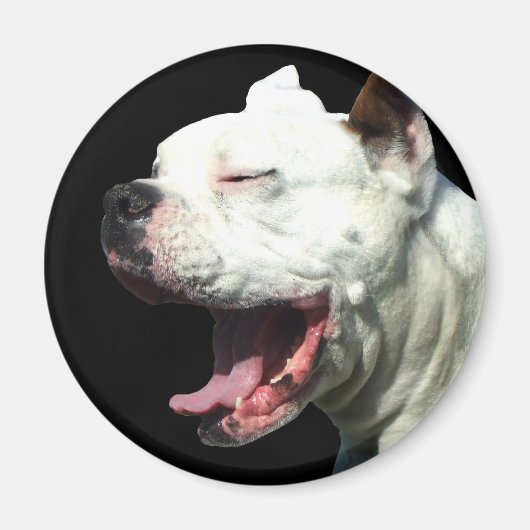 Glimlachende Witte Boxer hondenmagneet Magneet (Voorkant)