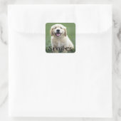 Glimlacht Schattigeste Hallo Puppy Dog Vierkante Sticker (Tas)