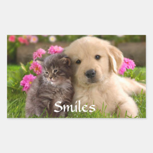 Glimlachte Golden Retriever Puppy & Kitten Sticker