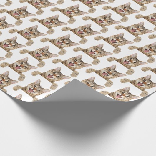 glimlachte kat op wit cadeaupapier (Hoek)