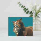 glimlachte paarden briefkaart (Staand voorkant)