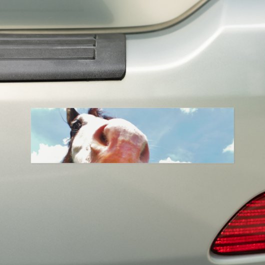 glimlachte paarden bumpersticker (Op auto)