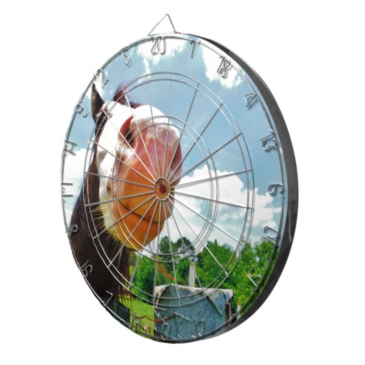 glimlachte paarden dartbord (Voorkant Rechts)