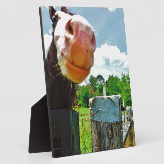 glimlachte paarden fotoplaat (Zijkant)