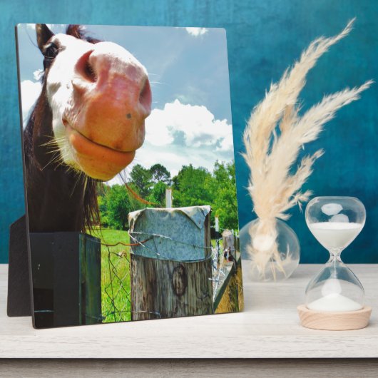 glimlachte paarden fotoplaat (Zijkant)