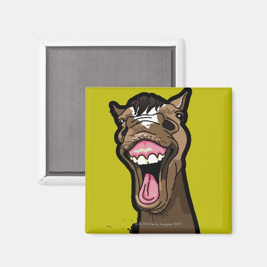 glimlachte paarden magneet (Voorkant / Achterkant)