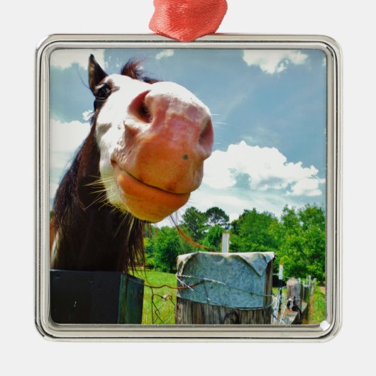 glimlachte paarden metalen ornament (Voorkant)