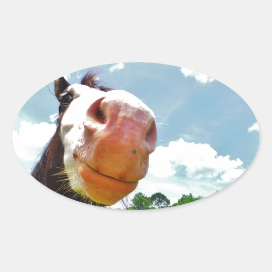 glimlachte paarden ovale sticker (Voorkant)