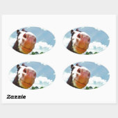 glimlachte paarden ovale sticker (Vel)