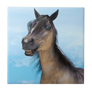 glimlachte paarden tegeltje