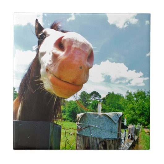 glimlachte paarden tegeltje (Voorkant)