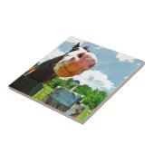 glimlachte paarden tegeltje (Zijkant)