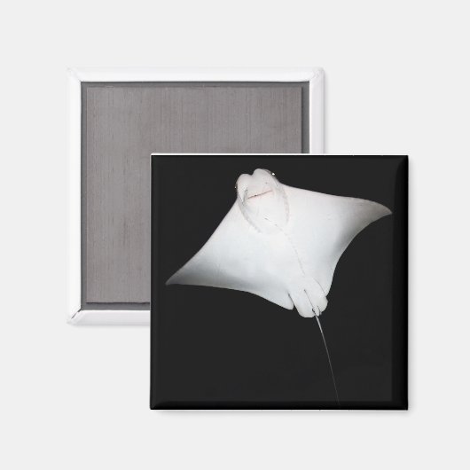 glimlachte Ray Magneet (Voorkant / Achterkant)