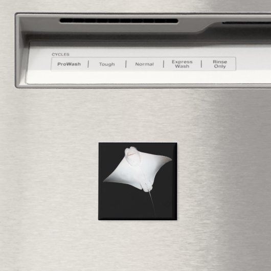 glimlachte Ray Magneet (Insitu (Vaatwasser))