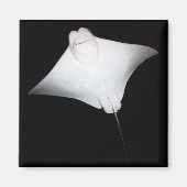 glimlachte Ray Magneet (Voorkant)