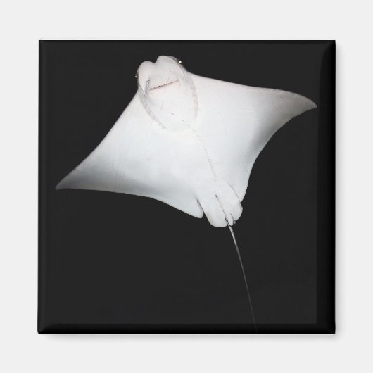 glimlachte Ray Magneet (Voorkant)