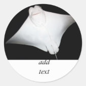 glimlachte Ray Ronde Sticker (Voorkant)