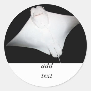 glimlachte Ray Ronde Sticker