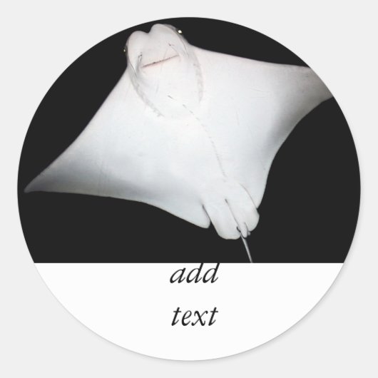 glimlachte Ray Ronde Sticker (Voorkant)