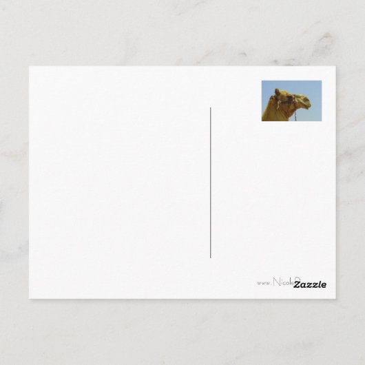 Glimlende kameel in profiel briefkaart (Achterkant)