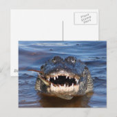 Glimlende krokodil briefkaart (Voorkant / Achterkant)