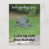 Glimlende krokodille briefkaart (Voorkant)