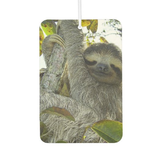 Glimlende Slote Heart Air Freshener, Emerald Zee Luchtverfrisser (Voorkant)